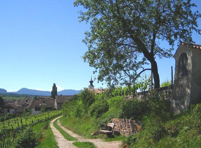 Weinlehrpfad von Girlan